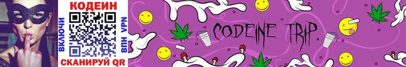 купить закладку  Шлиссельбург  Кодеин Purple Drank 