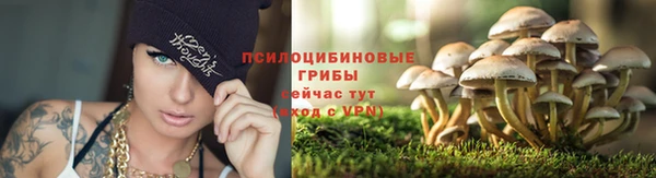 скорость Алексин