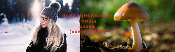 кокс Алексеевка