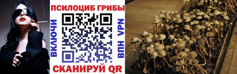 Галлюциногенные грибы Magic Shrooms кракен ССЫЛКА Шлиссельбург наркошоп